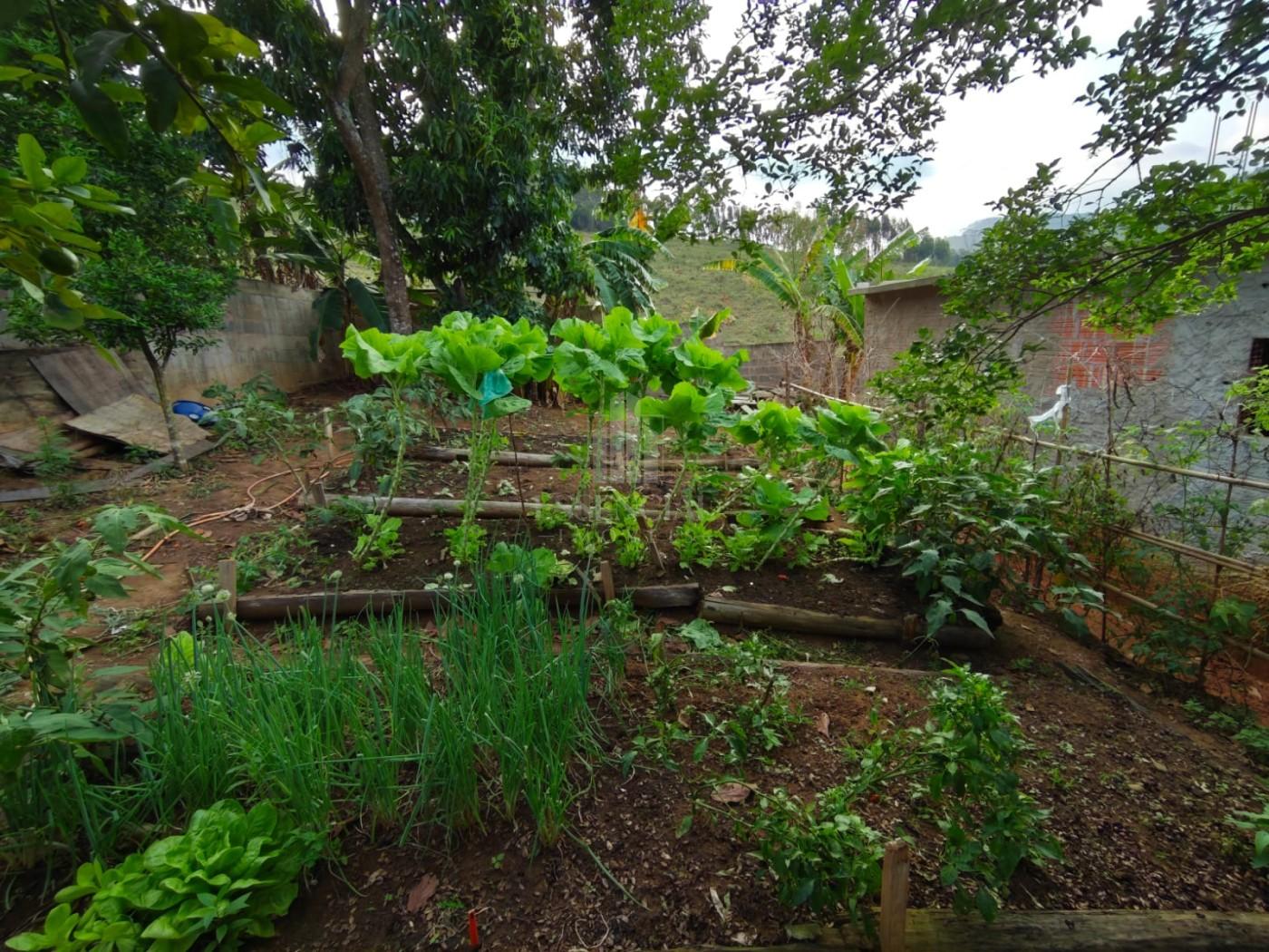 Casa, 3 quartos - Foto 13