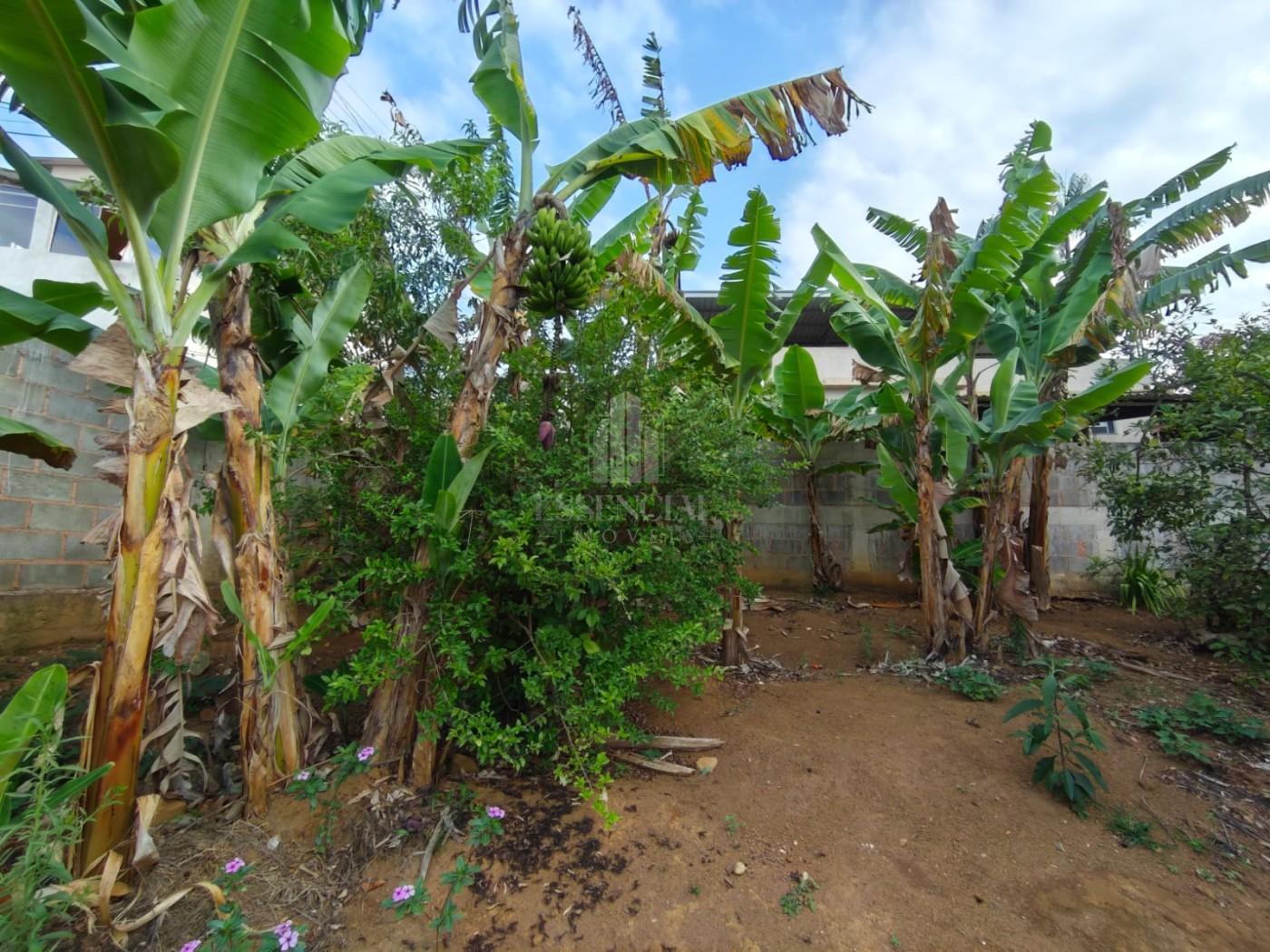 Casa, 3 quartos - Foto 15