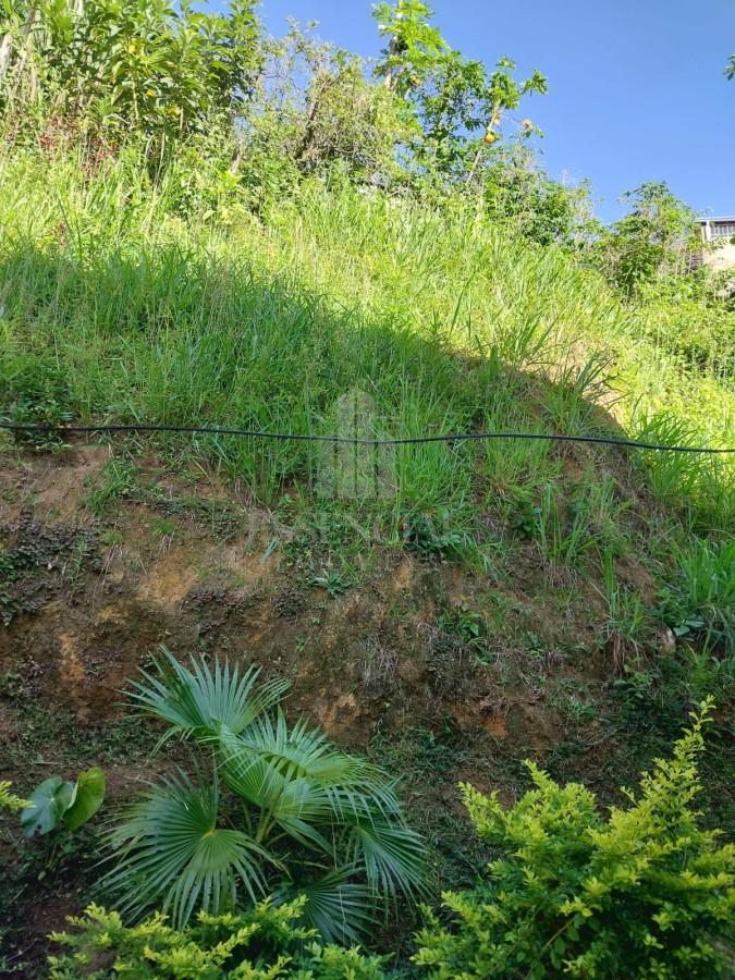 Casa, 3 quartos - Foto 16