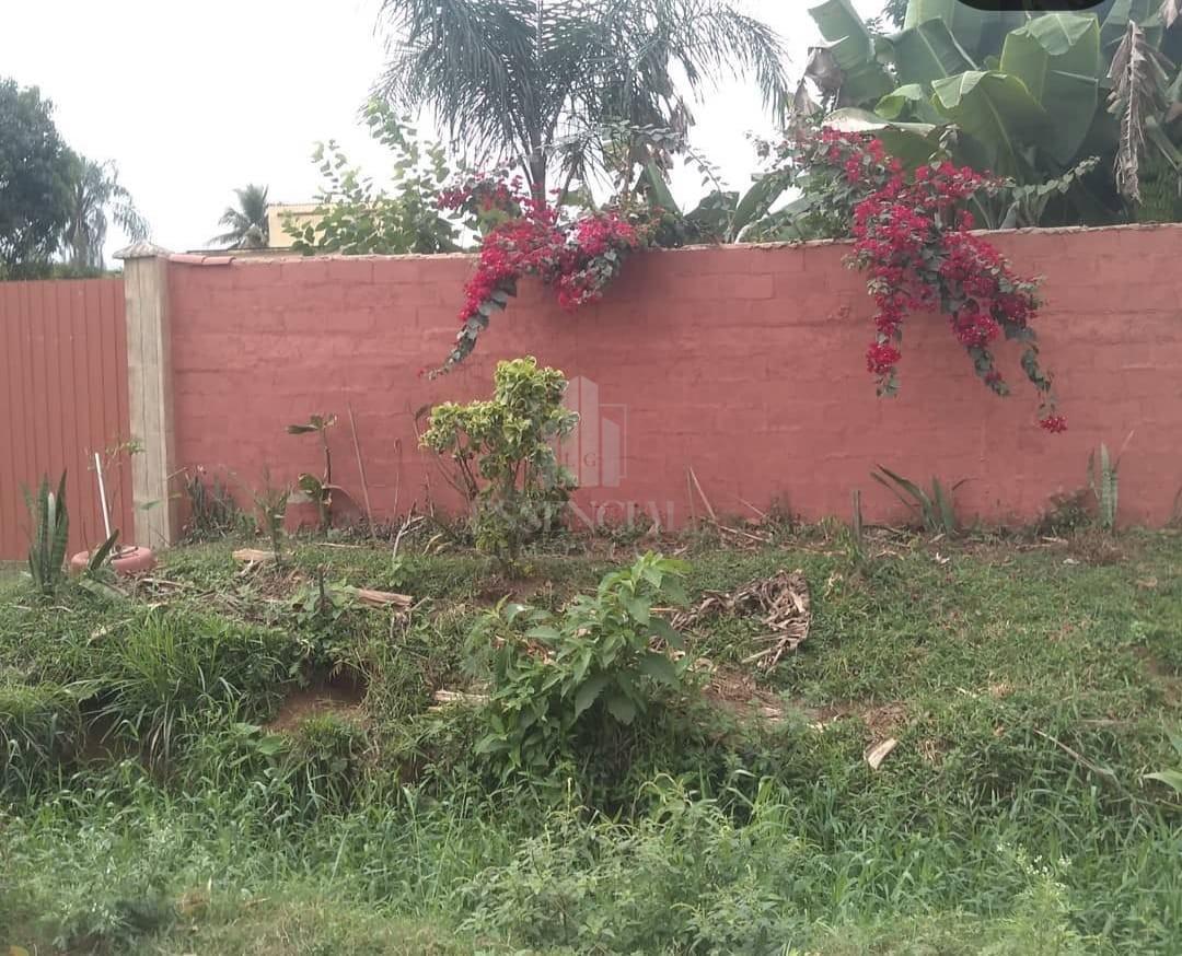 Chácara, 1080 m² - Foto 13